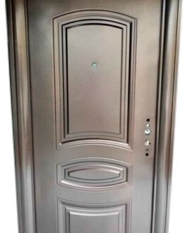 Icon Security Door (15)