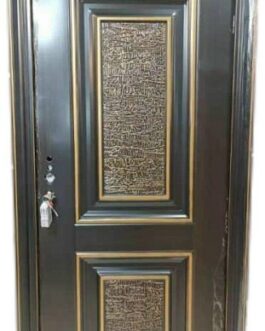 Icon Security Door (20)