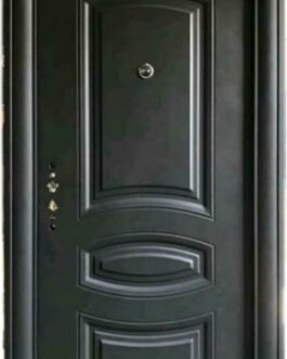 Icon Security Door (33)