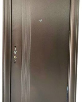 Icon Security Door (58)