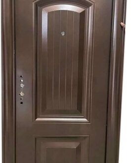 Icon Security Door (61)